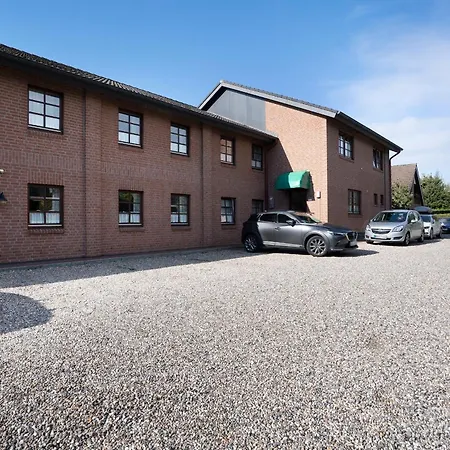 Ostseegarten Wacholder