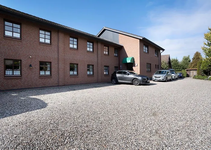 Ostseegarten Wacholder